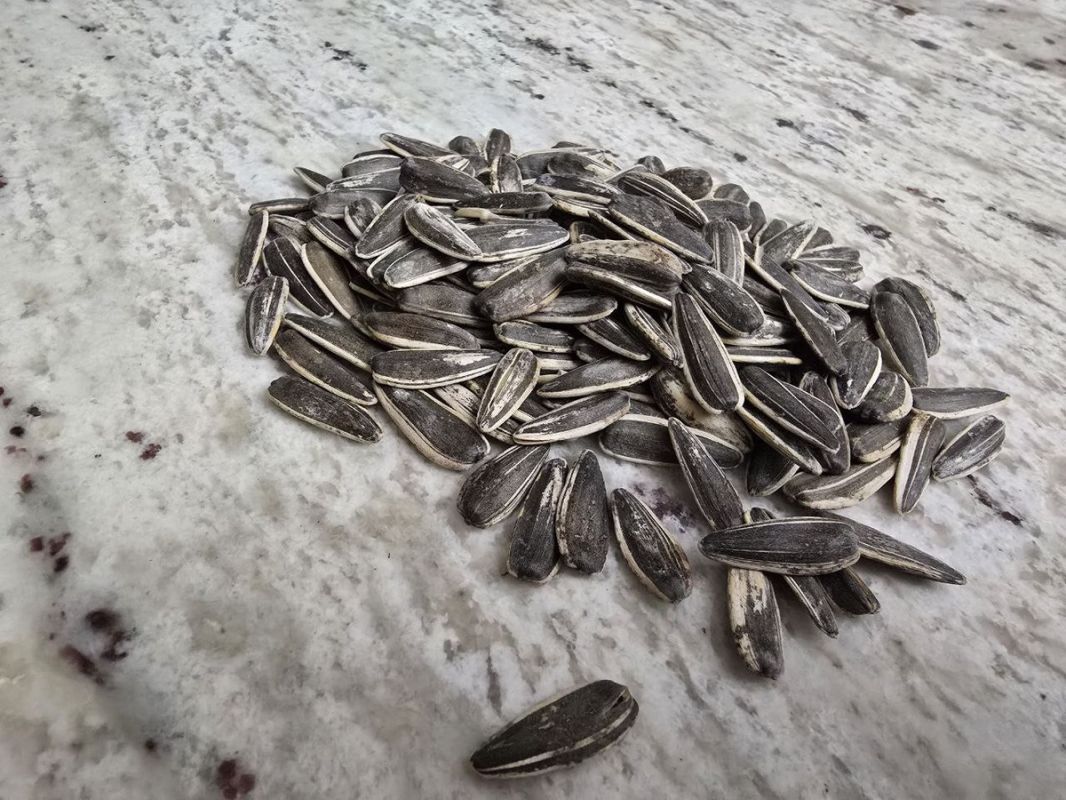 ������� �������: ����� �������� ������� ��� ���������� �����