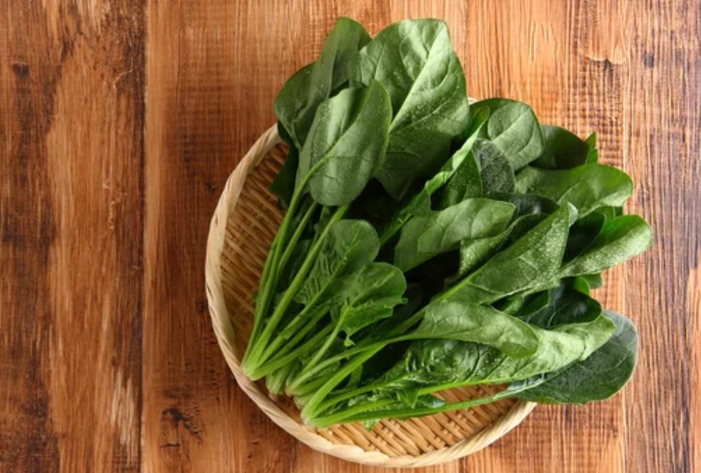 ������ �� ����� �����: ������ ��������, ������� ��������� ���� � ������