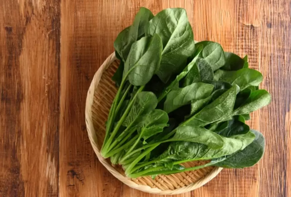 Шпинат на вашем столе: зелёный суперфуд, который превзойдёт мясо и молоко