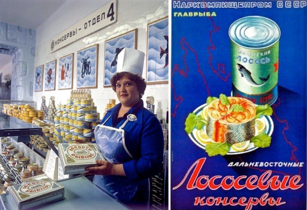 ������ ��������: ��������� ��������� ���������