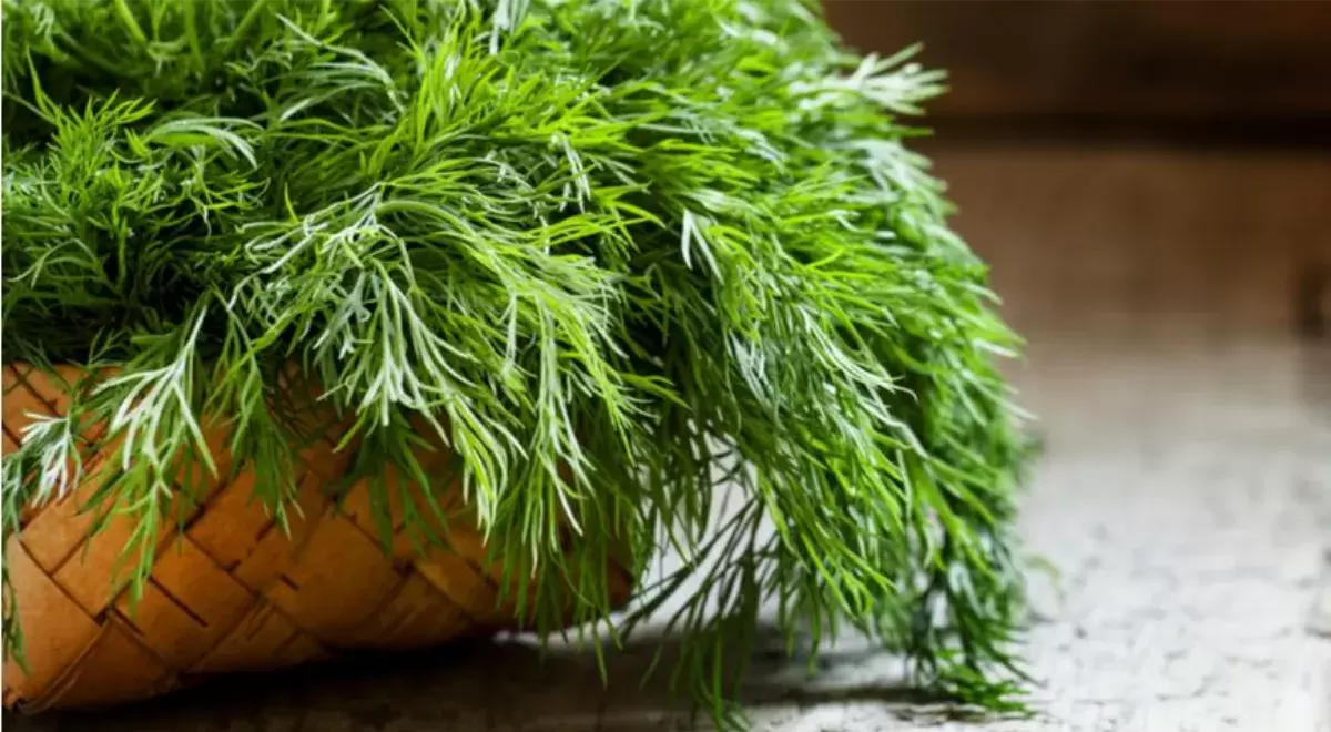 Укроп в новом свете: как простой зелени превратить в изысканный песто