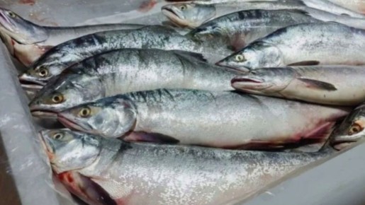 ��� ������������ ������ �������: 5 ���������� ������� ��� ��������� ����������