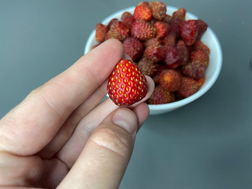 ������ �������� � ���������: ������� ���������� �����