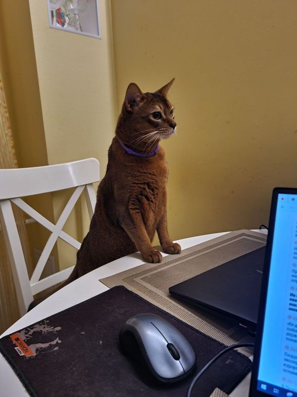 ������� � �������� �����: ����������� ���������� �� ������� �����