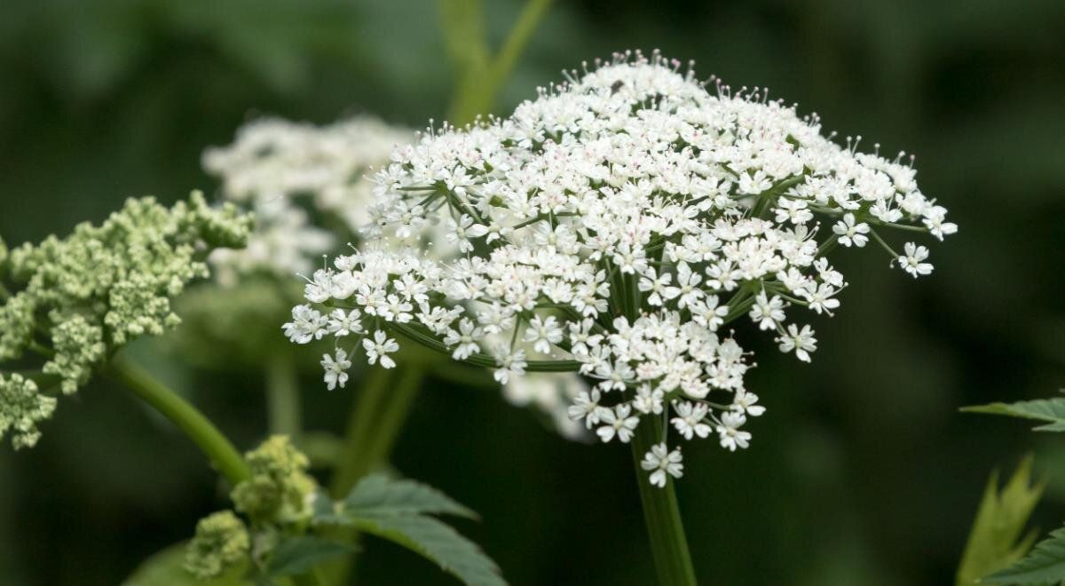 �����: ������� ������ ��� �������� ��������?