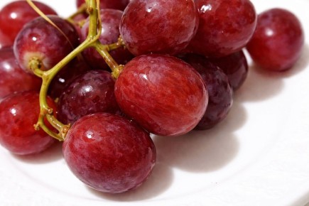 �������� � ������� ����: ���� ���������� �������� �� ������� �� �������