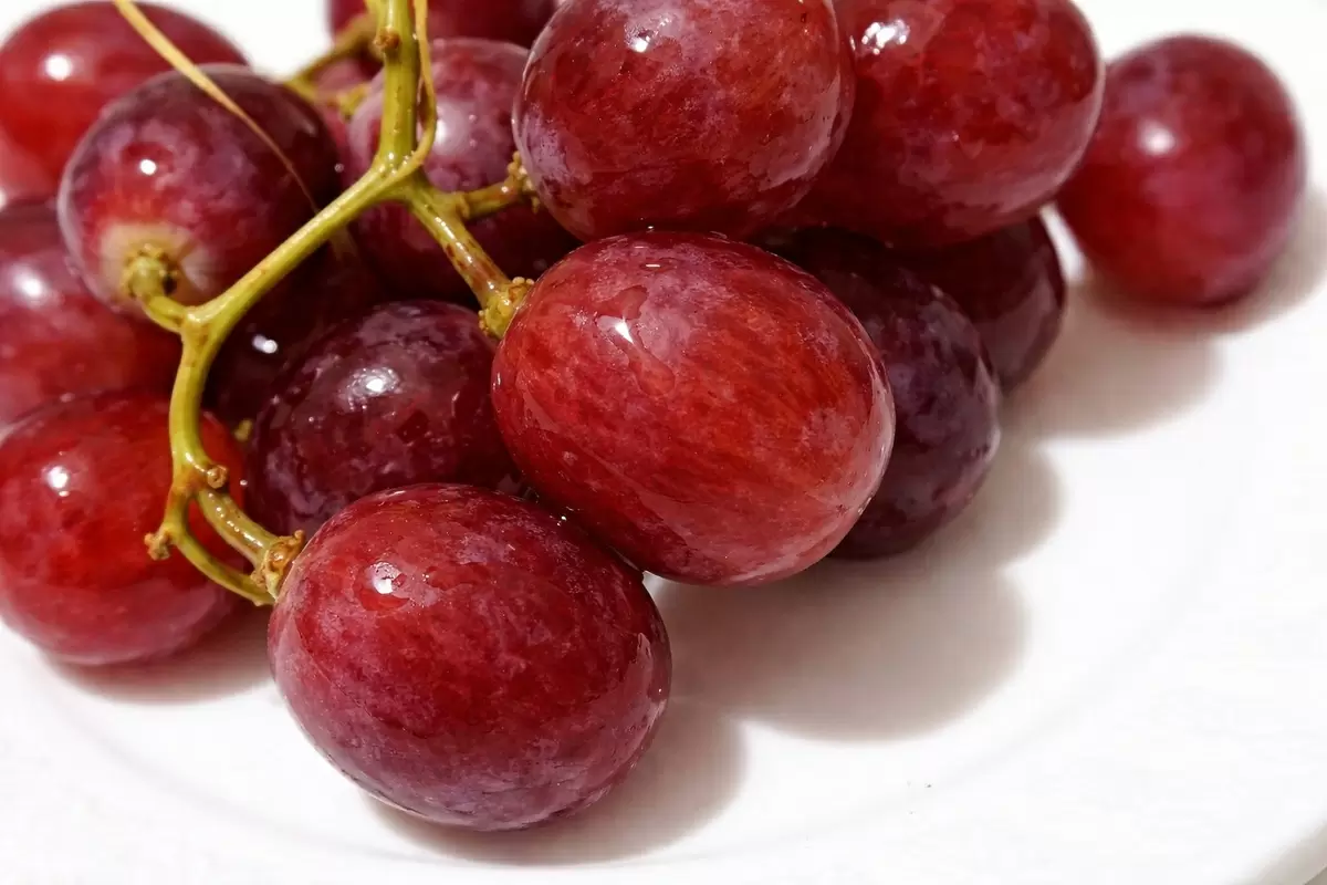 Виноград в главной роли: пять уникальных рецептов от закуски до десерта
