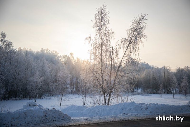 ��� ������� ��������� ������ ����: ������� �� ������� �������