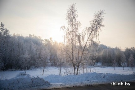 ��� ������� ��������� ������ ����: ������� �� ������� �������