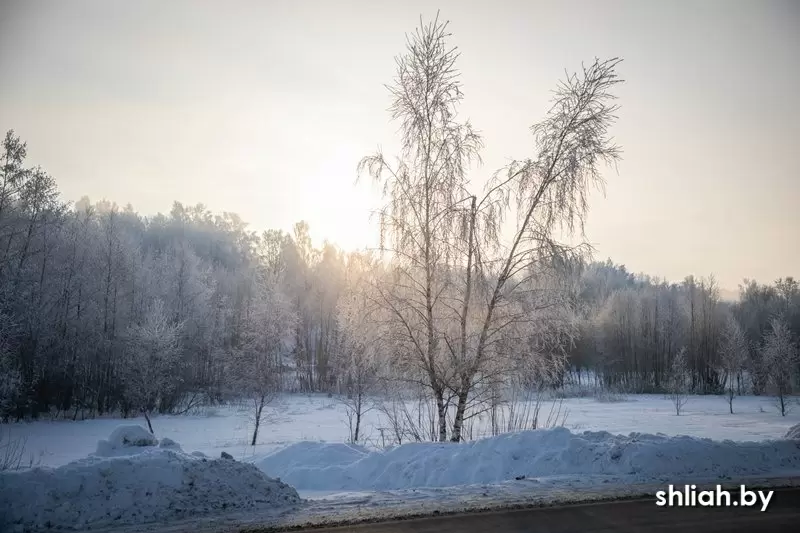Как создать идеальное зимнее утро: секреты от местных жителей
