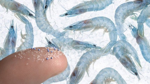 ������������ � ���������: ������ � ������ ��� ������?