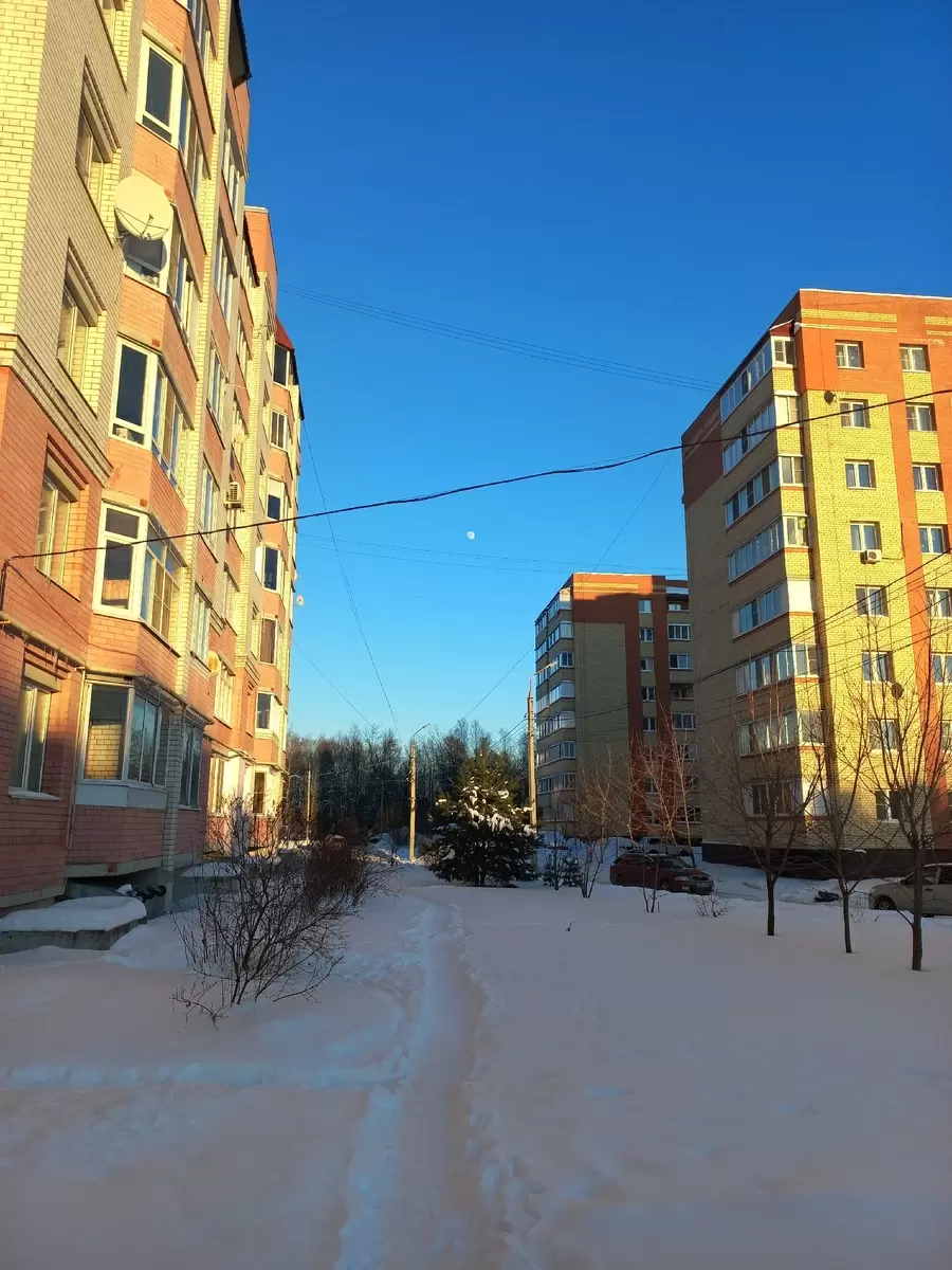 Обзор закупок рыбы: свежие акценты и советы