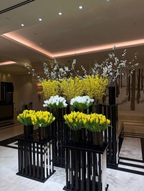 ����������� ����, ������� ���������� ��� �����������