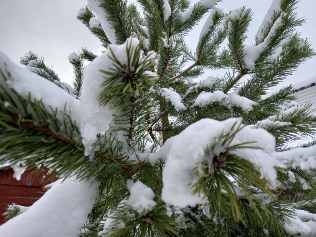 ������� ������ � ��������: 5 ��������� ������� �� ���������� ���� 2026