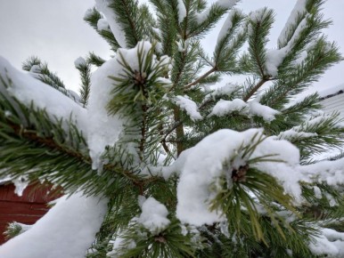 ������� ������ � ��������: 5 ��������� ������� �� ���������� ���� 2026