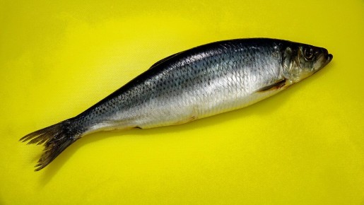 ������� �������� ������������� ������� ��� ����� ��� ����������