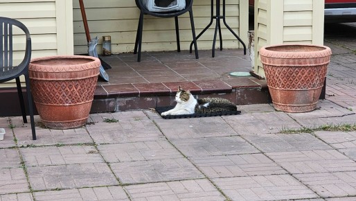 ����� ����������� � ������ �� ������������� ������ ������