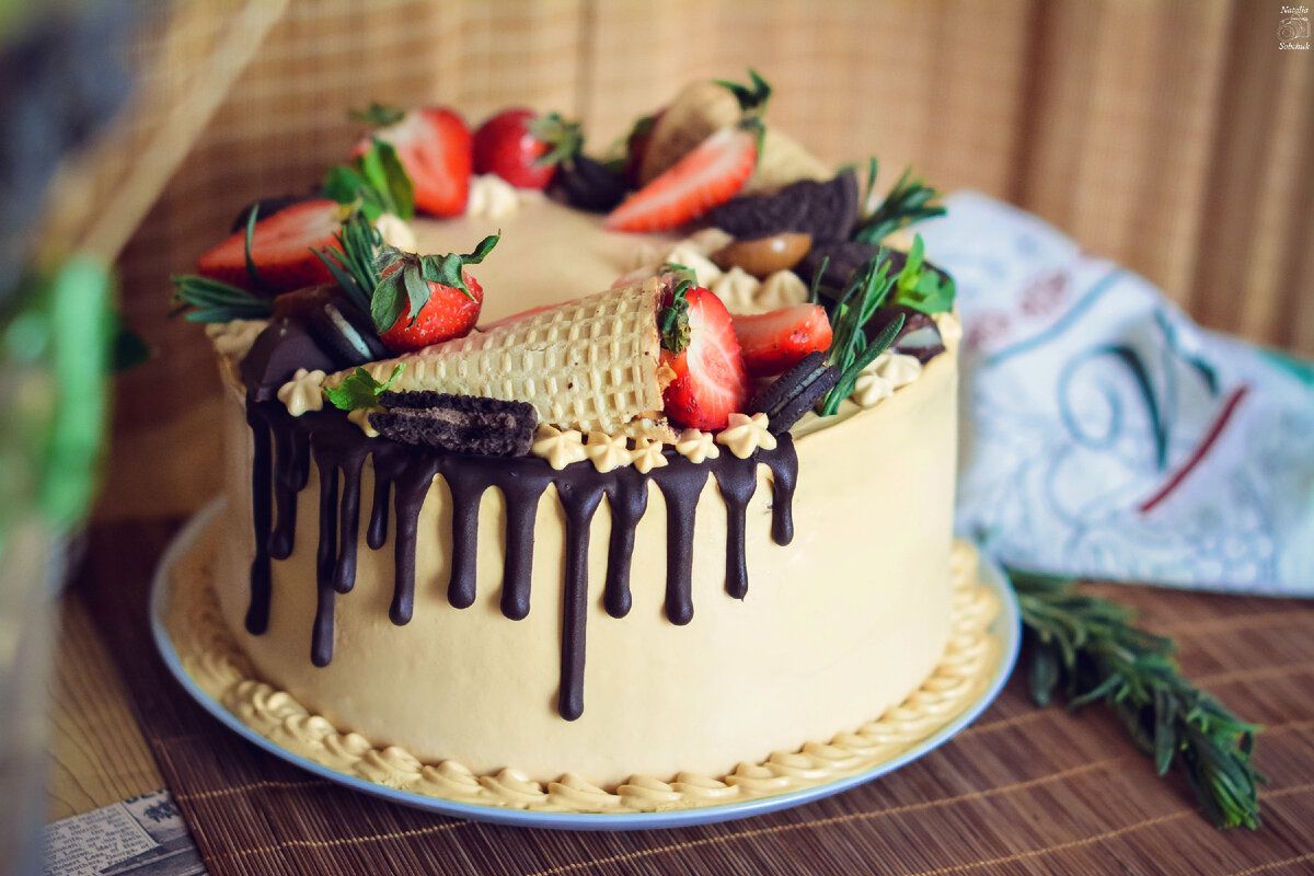 ��� ����������� ���������-����������� ���� � ��������� ������: ��������� ������