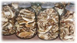 ��� ��������� ������� ������� ����� �� ���������� ����?