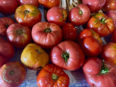 ��������: ������� �������� � �������������