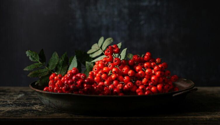 ����� �� ����: ��� ������ ��������� ���� �����