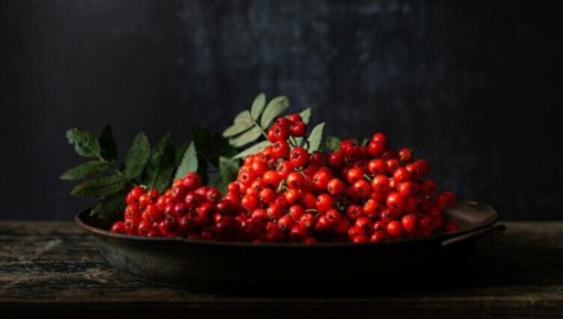 ����� �� ����: ��� ������ ��������� ���� �����