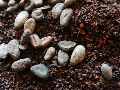 �����-���� ��������: ���� ���������� ���� 3000 �������� �� �����