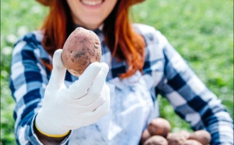 ��� ��������� ����� �������� � �����: ������� ����������