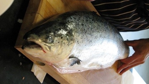 ������: ��������� ������ ������� ��� ���������� ���������� � ��������� �������