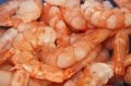 ������� ������� �����: ������� �������� ��������� �������